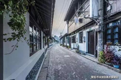 独家爆料逃税案例最新消息  第3张