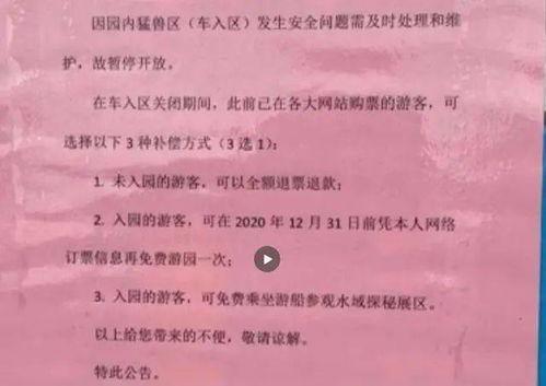 动物园内部爆料案例视频,揭秘动物真实生活与生存困境  第2张