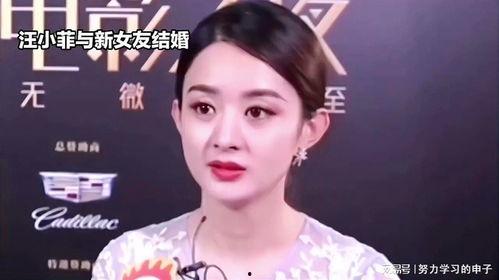 娱乐八卦吃瓜赵丽颖小说,娱乐圈的甜蜜瓜田，揭秘明星背后的爱情故事  第3张