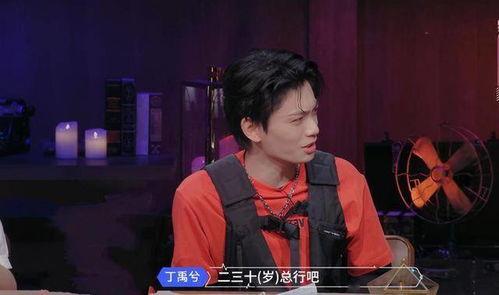 娱乐圈爆料丁禹兮,娱乐圈爆料背后的真相与争议  第3张