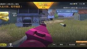 和平精英s6赛季手册最新爆料,全新爆料揭秘赛季亮点与玩法变革  第2张