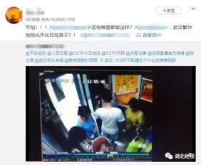 武汉小伙爆料视频播放下载,播放下载量惊人！  第3张