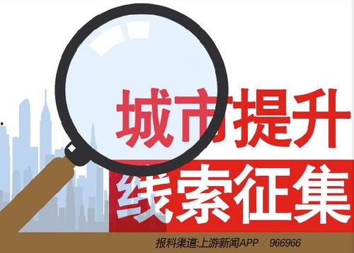新闻爆料热线视频,现场惊心动魄，真相令人震惊  第3张