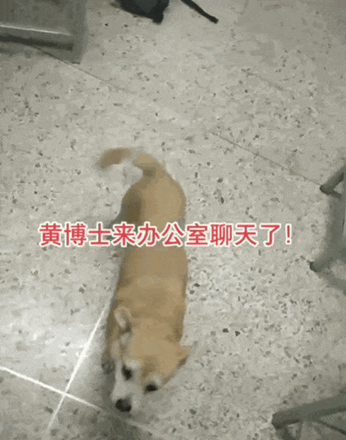 知名律师被妻子爆料视频,一场婚姻的真相与反转  第2张