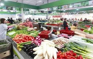 椒南中心菜场爆料视频,揭秘日常买菜背后的惊人真相